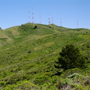 San Bruno Mountain State Park, California