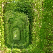 Tunnel of Love