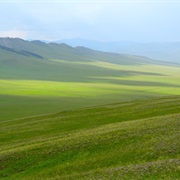 Visit a Steppe (Or Prarie)