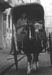 The Horse That Bolted (1907)