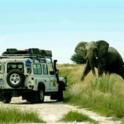 Nxai Pan National Park,Botswana