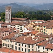 Lucca