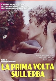La Prima Volta Sull'erba (1975)