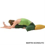 Head to Knee Forward Bend