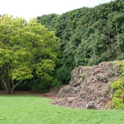 Maungarahiri/Little Rangitoto