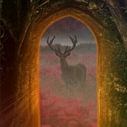 Nature's  Doorway  Angelina Jensen