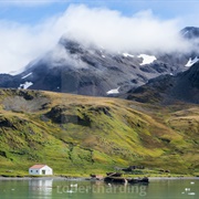 Grytviken, South Georgia, Antarctica