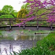 Visited Botanical Gardens