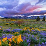 Rowena Plateau Trail