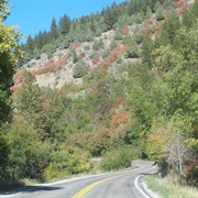 Logan Canyon Scenic Byway