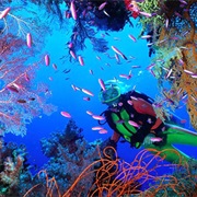 Palancar Horseshoe, Cozumel