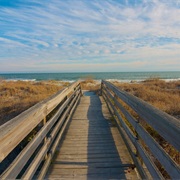 Huntington Beach State Park, South Carolina