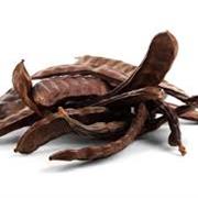 Carob
