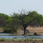 The Chaco, Paraguay