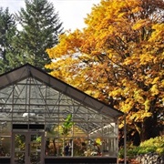 Rhodedendron Species Botanical Garden (Federal Way)