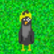 Pigeon (The CW Quest)