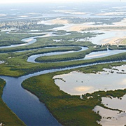 Siné-Saloum Delta, Senegal