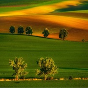 Moravian Fields, Czech Republic
