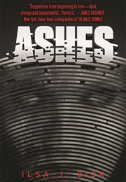 Ashes (Ilsa J. Bick)