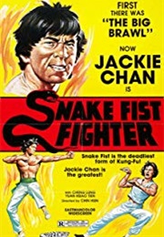 Snake Fist Fighter (1973)