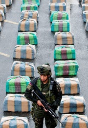 Law Enforcement Opposed the War on Drugs (2006)