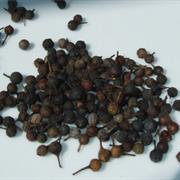 Cubeb Pepper