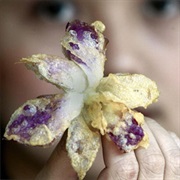 Fried Flower