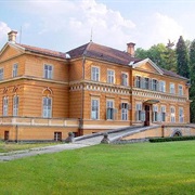 Royal Castle, Savarsin, Romania