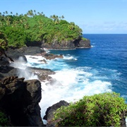 Turtle & Shark Site, American Samoa
