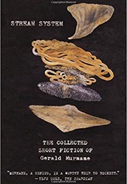 Stream System (Gerald Murnane)