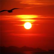 Oh, but I AM, Ma'am... I AM.