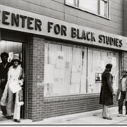 Black Studies