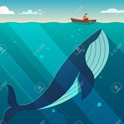 Have Your Boat Rocked by a Whale