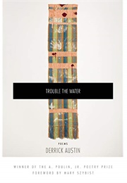 Trouble the Water (Derrick Austin)