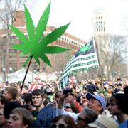 Get a Contact Buzz at Hash Bash