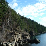Larrabee State Park, Washington