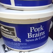 Pork Brain