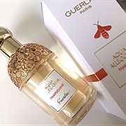 Aqua Allegoria Pamplelune Guerlain