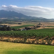 Spice Route, Stellenbosch