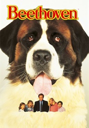 Beethoven (1992)