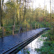 Parkbos Vallei Van De Rosdambeek