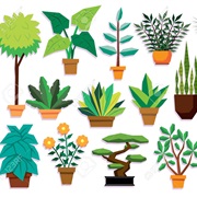 A Book With a Plant on the Title