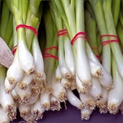 #72:  Appetizers and Snacks:  Sesame-Cilantro Scallion Pancakes