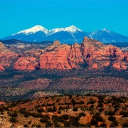 Take in Magnificent Views of the San Francisco Peaks