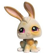 Littlest Pet Shop #265