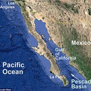 Gulf of California