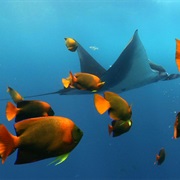 Cabo Pulmo, Baja California, Mexico