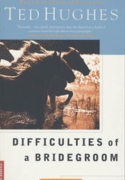 Difficulties of a Bridegroom: Collected Short Stories (Ted Hughes)