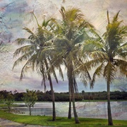 Coconut Creek, Florida