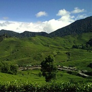 Puncak Pass Bogor
